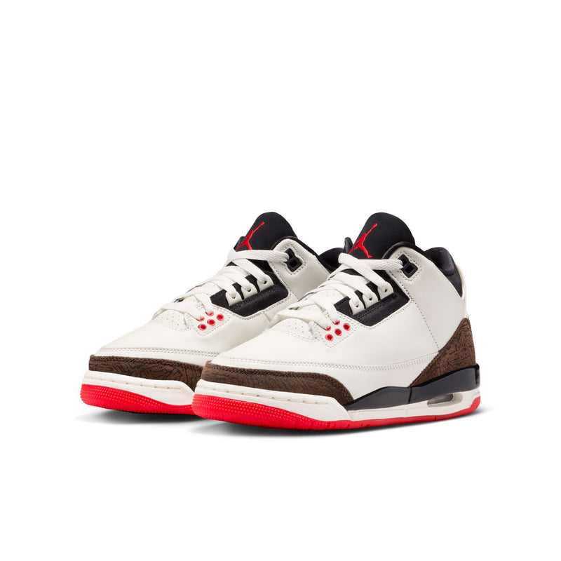 Air Jordan 3 Retro (GS)