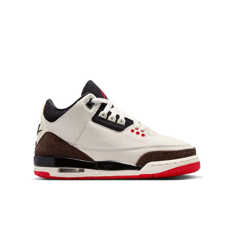 Air Jordan 3 Retro (GS)
