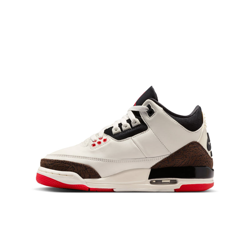 Air Jordan 3 Retro (GS)