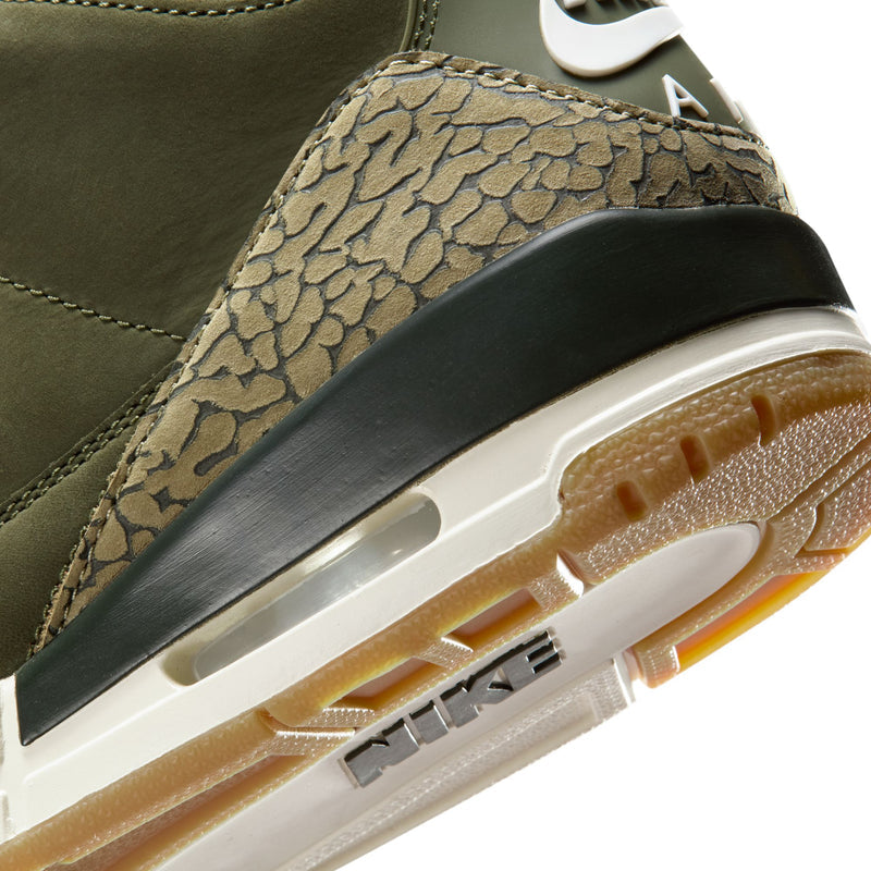 Air Jordan 3 Retro