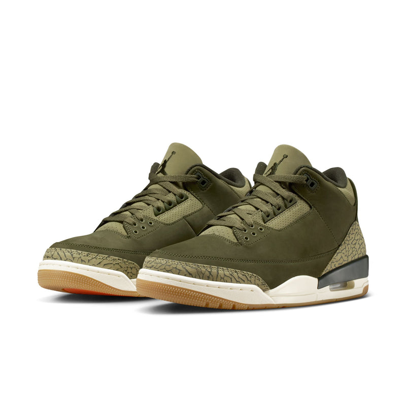 Air Jordan 3 Retro