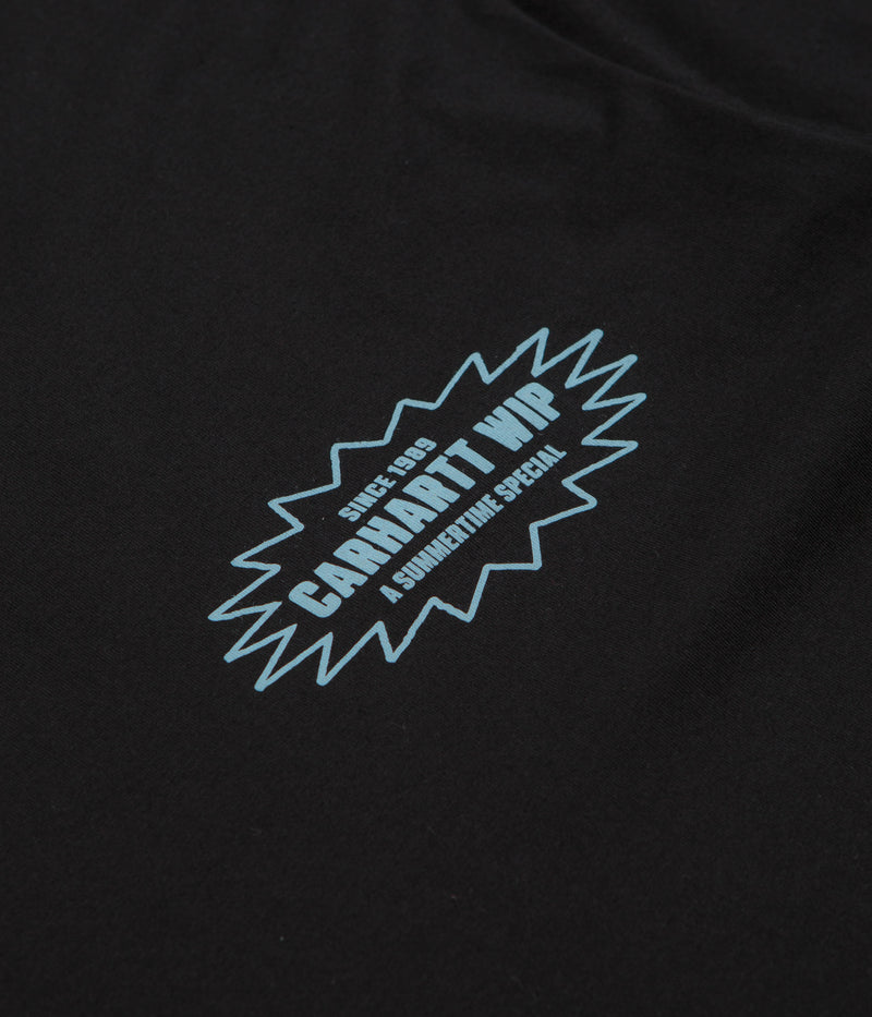 Carhartt Catalogue T-Shirt in Black and Bluebird