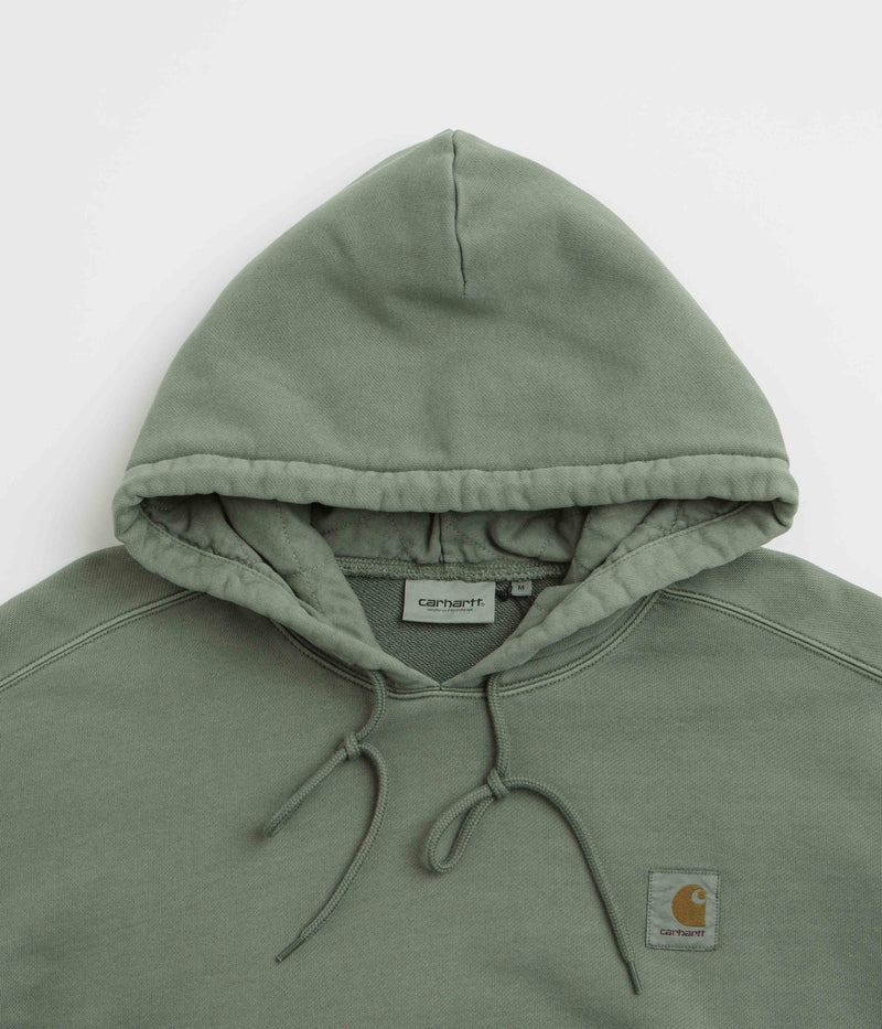 Carhartt Nelson Hoodie in Park