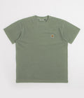 Carhartt Nelson T-Shirt in Park