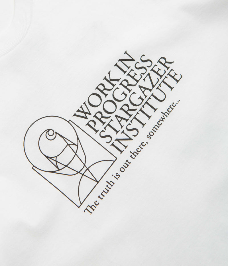 Carhartt Stargazer T-Shirt in White and Black