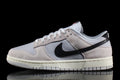 Dunk Low Retro