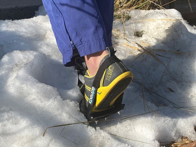 Xero Shoes Icewalkers in Black and Yellow Shoe with Toe Stepping on the Ice