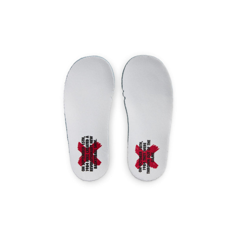 Jordan 1 Retro Low OG (TD)