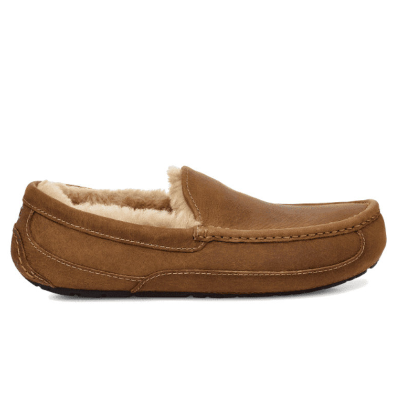 Men's UGG Ascot Slipper - Tan