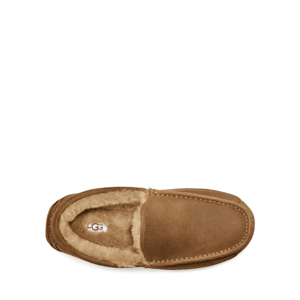 Men's UGG Ascot Slipper - Tan