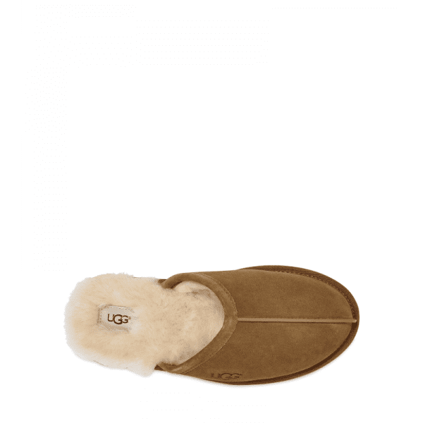 Men’s UGG Scuff Slipper – Chestnut