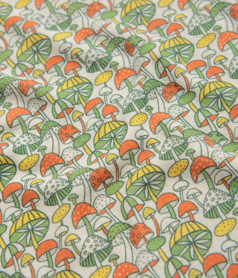 Mollusk Womens Scoop Ribsy T-Shirt in Green Mushroom