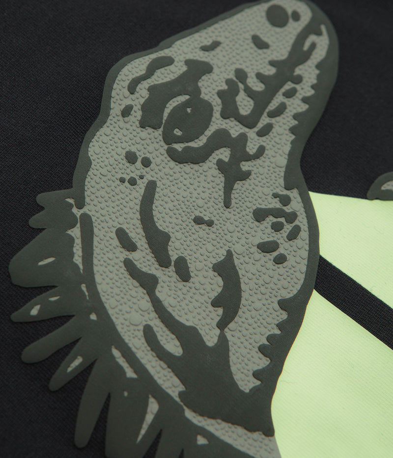 Nike ACG Iguana T-Shirt in Black