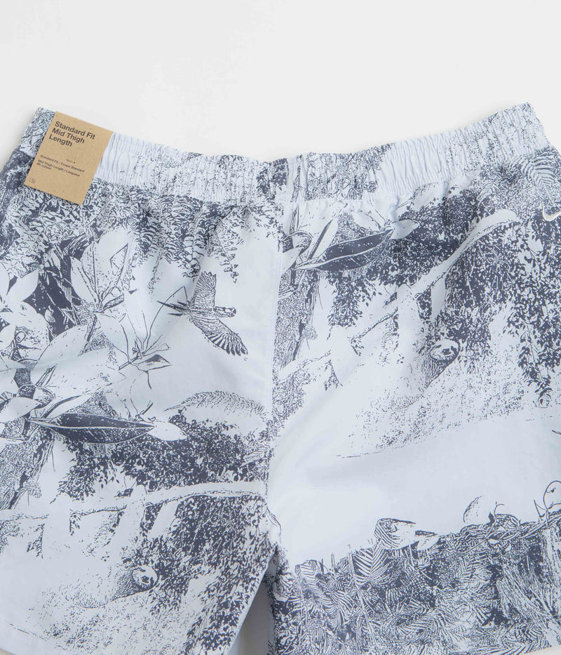 Nike ACG Reservoir Goat Shorts in Football Grey and Thunder Blue / Summit White