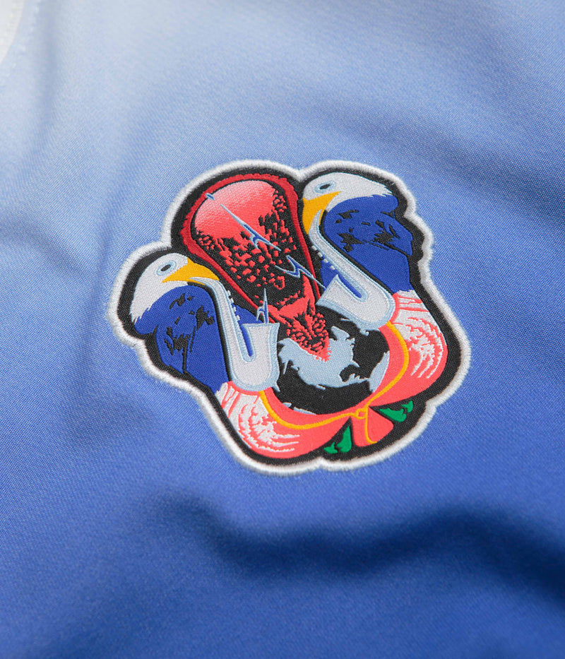 Nike SB Team USA Long Sleeve T-Shirt in White