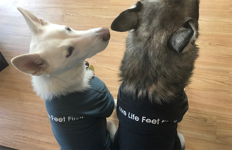 Xero Shoes Dog T-Shirts in Black Back Part