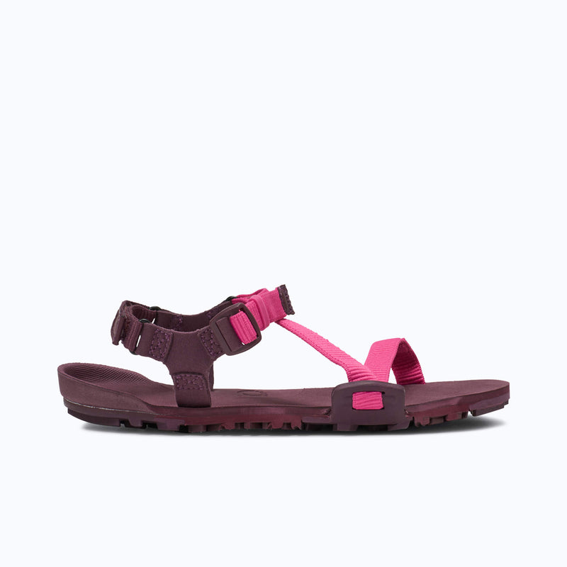 Xero Shoes Z-Trail EV - Women Sandal in Maroon and Pink with Toe Facing Right